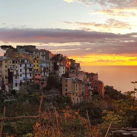 Terre Apartment Corniglia Zewnętrze zdjęcie