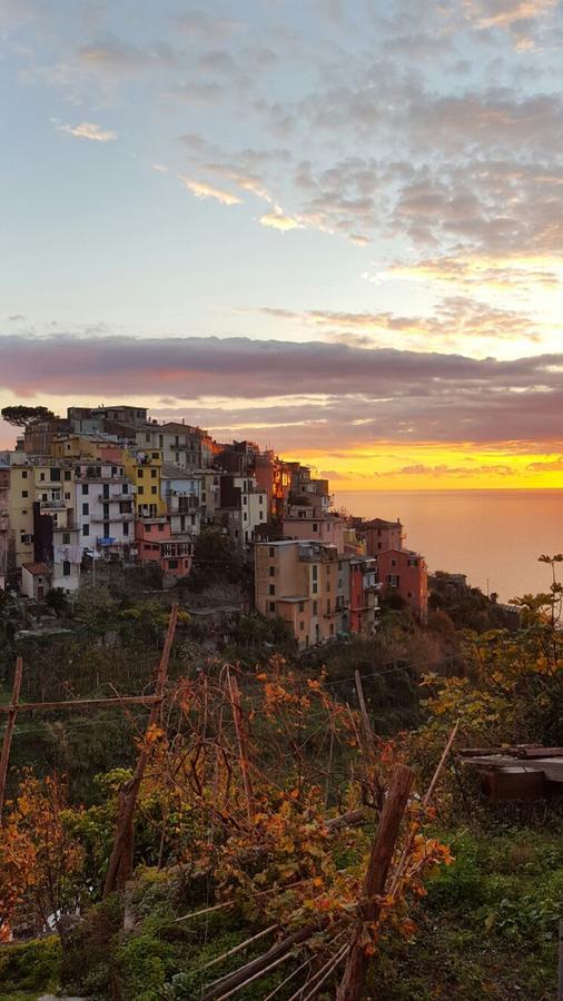 Terre Apartment Corniglia Zewnętrze zdjęcie